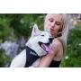 Neewa Running Harness