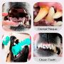 Dmorun Dog Chew Toothbrush Teeth Cleaning Toys Durable Dental Chew Toy Natural Rubber Chewing Brush Sticks Bones for Small Middle Dogs Pet with Dog Finger Toothbrush