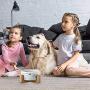PICKME Ceramic Pet Bowls with Stand, Dog Cat Water Bowl and Food Dish -Heavy Weighted & No Tip Over Pet Comfort Feeding Bowls, Easy to Clean