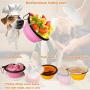Collapsible Dog Bowl for Travel, 2 Pack Foldable Bowl with Lid Dog Water Bowl Puppy Feeding Bowls & Dog Poop Bag with Dispenser, Portable Bowl Set,15oz,450ML