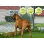 Downtown Pet Supply Rechargeable Citronella Anti-Bark No Shock Safe & Humane No Barking Water Resistant Dog Training Collar for Small, Medium, and Large Pets (with or Without Citronella Canister)