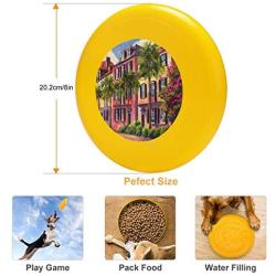 Pet Frisbee Flying Disc Dog Toy - Multifunction Rainbow Row Charleston Sc Jeff Pittman