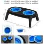 KOOPAO Cat Dog Food Bowls Elevated Dishes Stand, Travel Use Raised Pet Food Water Feeder Set with Foldable Silicone Frisbee Bowl and Detachable Leg for Small Medium Dogs Puppy, 9/24oz Dishwasher Safe