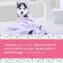 Veterinary Formula Solutions Gloss & Glide Detangler, Shine Builder, Conditioner Spray for Dogs, 8 oz – Quickly Detangles Matted Hair –With Silk Protein and Antioxidants