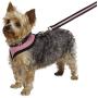 Casual Canine Pastel Mesh Dog Harness