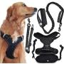 SXM Sto-n-go Dog Harness Leash No Choke No Pull with Leash and Seat-Belt Restraint Strap