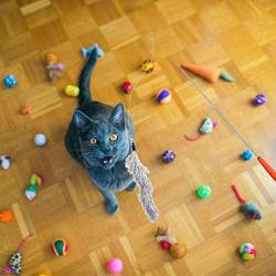 Earlyad Cat Toys, Funny Cat Stick Pet Toys, Three-Section Telescopic Stick with 5replacement Head Set