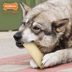 Nylabone Dura Chew Giant Marrow Bone Alternative Beef Flavor Dog Chew Toy Beef Flavor Large/Giant - Up to 50 lbs.