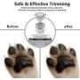 DELOMO Pet Nail Grinder for Dogs & Cat Quiet, 2 Speed and 3 Ports Nail Grinder, Electric Dog Nail Trimmers, Portable and Rechargeable Dog Nail Grinder for Large Dogs, Trimming your Pets Nail Smoothing