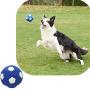 Durable Squeaky Dog Play Chew Fetch Ball Football Suit for Toy Interactive Fetch and Play Accessories