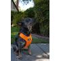 Sleepypod ClickIt Sport Crash-Tested Car Safety Dog Harness