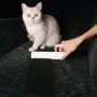 Reusable Pet Hair Remover for clothes couches beds comforters blankets Clean, Remove your dog cat hair removal from furniture (Light blue)