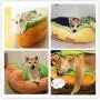 Aqueous Dog Bed Cat Bed Cat Cushion Hot Dog Design Removable and Washable Dog Sofa Dog Mat for Puppy Kitten Sleeping Sofa… Aqueous Dog Bed Cat Bed Cat Cushion Hot Dog Design Removable and Washable Dog Sofa Dog Mat for Puppy Kitten Sleeping Sofa…
