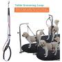 Felenny Pet Bathing Tether Straps Dog Cat Grooming Loop Adjustable Single Noose Ropes Steel Wire Hanging Rope for Pet Table Arm Bath Tub