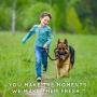 TropiClean Natural Flea And Tick AfterBath Treatment, Relieves Itching And Irritation From Flea Bites Fast With Oatmeal and Cocoa Butter, 12 oz.