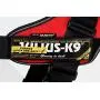 Julius-K9 16IDC P1+ IDC PowerHarness with Security Lock for Dogs, Size: 1, Black