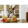P.L.A.Y. (Pet Lifestyle And You), American Classic Plush/Squeaker Food Toy Collection with Gift Box, 5-Piece P.L.A.Y. (Pet Lifestyle And You), American Classic Plush/Squeaker Food Toy Collection with Gift Box, 5-Piece