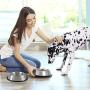 PETMAKER Stainless Steel Pet Bowls Sets