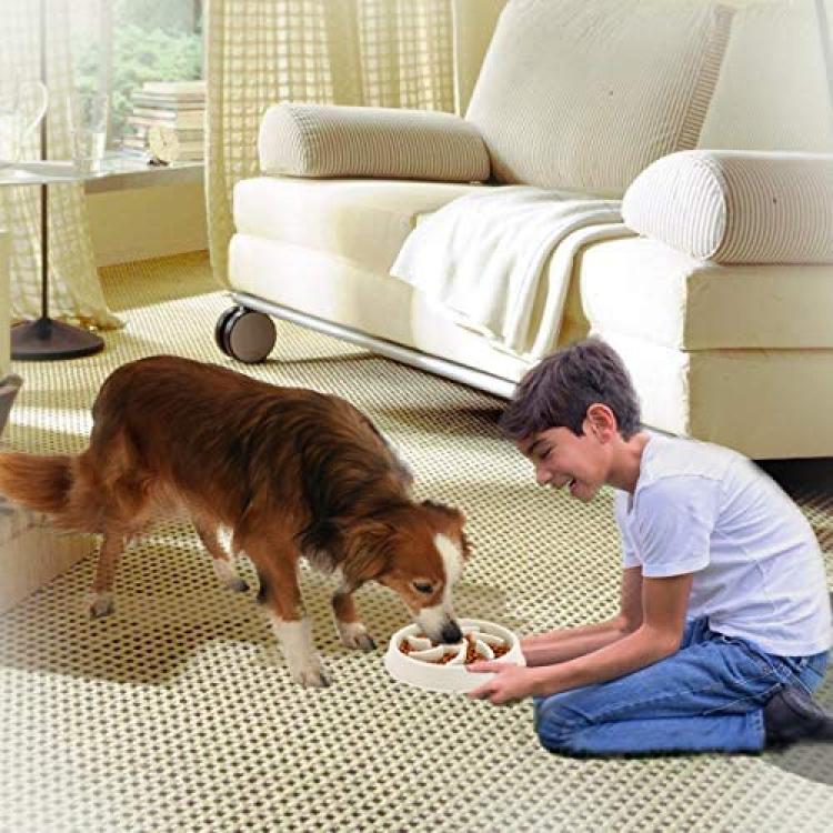 NOYAL Slow Feeder Dog Bowls Puzzle Anti-Gulping Interactive Bloat Durable  Preventing Choking Healthy Dogs Bowl