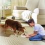 NOYAL Dog Slow Feeder Bowl, Non Slip Puzzle Bowl - Anti-Gulping Pet Slower Food Feeding Dishes - Interactive Bloat Stop Dog Bowls - Durable Preventing Choking Healthy Design Dogs Cats Bowl