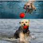 LOVEPET 3 Pcs Solid Rubber Pet Dog Ball Training Teeth Chewing Pet Ball Biting Elastic Durable Portable Pet Toys