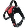 wear2me Dog Harness No Pull Pet Harness Adjustable Outdoor Pet Vest Breathable Reflective Oxford Soft Padded Vest for Dogs Easy Control for Small Medium Large Dogs wear2me Dog Harness No Pull Pet Harness Adjustable Outdoor Pet Vest Breathable Reflective Oxford Soft Padded Vest for Dogs Easy Control for Small Medium Large Dogs