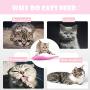 Pet Cat Fish Shape Toothbrush with Catnip Toys，New Interactive Tooth Cleaning Toy for Kitten Kitty，Multi-Function Food Grade Silicone Cat Molar Stick，Get Rid of Bad Breath & Keep Teeth Healthy