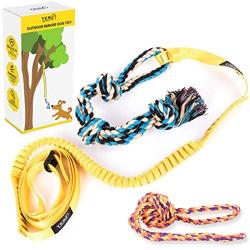 Outdoor Hanging Bungee Dog Toy - Interactive Tether Tug Toy for Pitbull & Small to Large Dogs - Durable Tugger for Safe & Fun Solo Play - Ideal for Exercise & Tug of War - 2 Strong Rope Toys Included