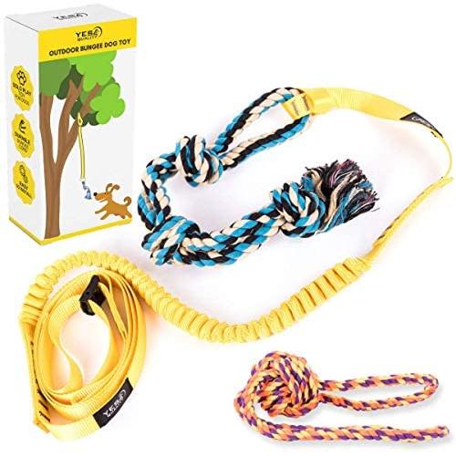 Outdoor Hanging Bungee Dog Toy - Interactive Tether Tug Toy for Pitbull & Small to Large Dogs - Durable Tugger for Safe & Fun Solo Play - Ideal for Exercise & Tug of War - 2 Strong Rope Toys Included
