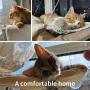 ISENVO Cat Hammock Cat Window Perch for Large Cat Safety Bed Space Saving Resting Cats Suction Cups Hammock for Indoor Holds Up to 30lbs，360° Sun Bathing