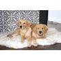 Treat A Dog Puprug Faux Fur Memory Foam Orthopedic Dog Bed, Premium Memory Foam Base, Ultra-Soft Faux Fur Cover, Modern and Attractive Design (Multiple Sizes & Styles)