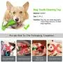 Kuntrona Dog Toothbrush Dog Brushing Stick Dogs Tooth Cleaning Toy Rubber Pet Puppy Chewing Playing Toy S M L for French Dog Accessoires