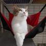 RayCC Ajustable Cat Hammock Cat Bed Sleeping Hammock Hanging Cage Chair Hammock for Cat Small Dogs (Red and Black)