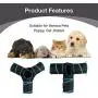 Cat Tunnel Collapsible Pet Tube Toy with Balls Cat Entertain Equipment Interactive Tunnel Toy 3 Way Cat Pop-up Tunnel Cat Tunnel Collapsible Pet Tube Toy with Balls Cat Entertain Equipment Interactive Tunnel Toy 3 Way Cat Pop-up Tunnel