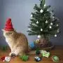 AWOOF Cat Christmas Toys, Christmas Stocking Cat Toy Gift Set 12Pcs Cat Toys Set for Kitten with Pet Cat Christmas Bandana AWOOF Cat Christmas Toys, Christmas Stocking Cat Toy Gift Set 12Pcs Cat Toys Set for Kitten with Pet Cat Christmas Bandana