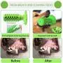 PETHOBBY Green Dog Chew Toy with Rubber Sucker,Natural Rubber Dog Toothbrush Stick with Dental Care,Squeaky Dog Toys for Medium and Large Dogs(15-70 lb) PETHOBBY Green Dog Chew Toy with Rubber Sucker,Natural Rubber Dog Toothbrush Stick with Dental Care,Squeaky Dog Toys for Medium and Large Dogs(15-70 lb)