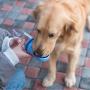 ZXCVB Dog Water Bottle for Walking, Leak Proof Portable Pet Water Dispenser with Hand Rope, for Small Medium Large Dogs