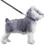 ThinkPet Cute Puppy Dog Collar and Lead Set Colorful Strong Adjustable for Small Dogs