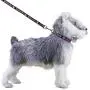 ThinkPet Cute Puppy Dog Collar and Lead Set Colorful Strong Adjustable for Small Dogs ThinkPet Cute Puppy Dog Collar and Lead Set Colorful Strong Adjustable for Small Dogs