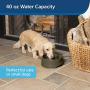 PetSafe Current Pet Fountain, Circulating Drinking Fountain for Cats and Dogs