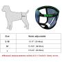 DONGXIONG Pet Diapers Girl Dog Puppy Pants Pet Underwe Dog Physiological Diaper Dogs Sanitary Panties Shorts Pet Accessories,Blue,M