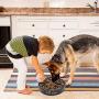 Freefa Slow Feeder Dog Bowl Bloat Stop Dog Food Bowl Maze Interactive Puzzle Non Skid, Come with Free Travel Bowl (Black1, for Large Dogs)