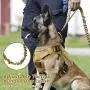 rabbitgoo Dog Harness & Tactical Bungee Dog Leash - Adjustable No Pull Soft Padded Dog Vest with Leash Clips (M) | Safety and Comfort Elastic Leads Rope for Military Dog Training rabbitgoo Dog Harness & Tactical Bungee Dog Leash - Adjustable No Pull Soft Padded Dog Vest with Leash Clips (M) | Safety and Comfort Elastic Leads Rope for Military Dog Training