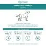 Embark Urban Dog Harness, Easy On and Off with Front and Back Leash Attachments & Control Handle - No Pull Training, Size Adjustable and Non Choke Embark Urban Dog Harness, Easy On and Off with Front and Back Leash Attachments & Control Handle - No Pull Training, Size Adjustable and Non Choke
