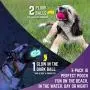 Chew King Fetch Balls Durable Natural Floating Dog Toy, Float and Glow Flyer, Squeaker Ball Dog Toy Chew King Fetch Balls Durable Natural Floating Dog Toy, Float and Glow Flyer, Squeaker Ball Dog Toy