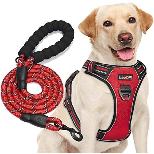 tobeDRI No Pull Dog Harness Adjustable Reflective Oxford Easy Control Medium Large Dog Harness with A Free Heavy Duty 5ft Dog Leash