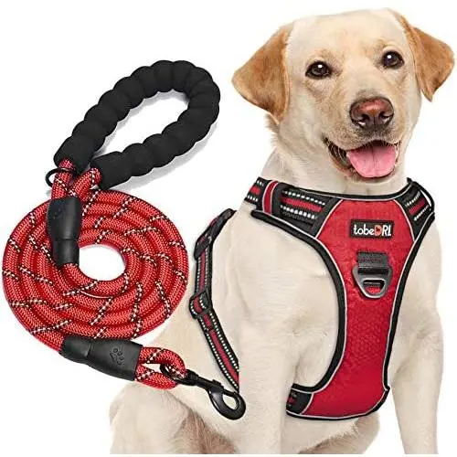 tobeDRI No Pull Dog Harness Adjustable Reflective Oxford Easy Control Medium Large Dog Harness with A Free Heavy Duty 5ft Dog Leash tobeDRI No Pull Dog Harness Adjustable Reflective Oxford Easy Control Medium Large Dog Harness with A Free Heavy Duty 5ft Dog Leash