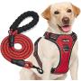 tobeDRI No Pull Dog Harness Adjustable Reflective Oxford Easy Control Medium Large Dog Harness with A Free Heavy Duty 5ft Dog Leash