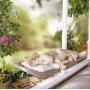 PETPAWJOY Cat Bed, Cat Window Perch Window Seat Suction Cups Space Saving Cat Hammock Pet Resting Seat Safety Cat Shelves - Providing All Around 360° Sunbath for Cats Weightedup to 30lb