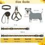 PUPTECK No Pull Dog Harness with Leash and Collar Set - Sunflower Adjustable and Durable Dog Harness for Small Medium Dogs Outdoor Walking